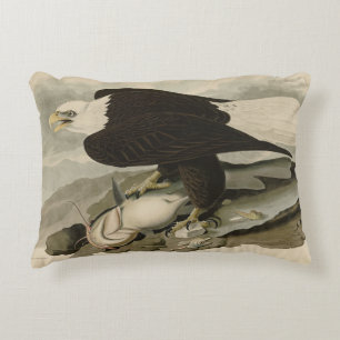 Cojín Decorativo Aves Audubon de América con la cabeza blanca (águi