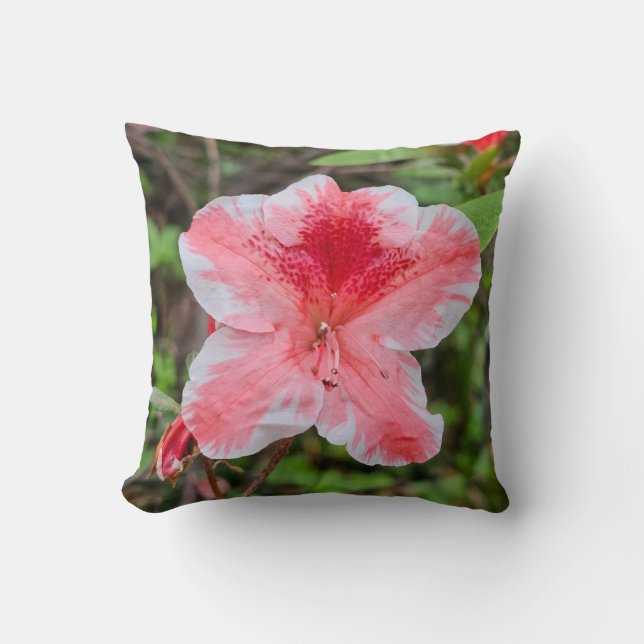 Cojín Decorativo Azalea Ben Morrison (Rhododendron 'Ben Morrison') (Anverso)