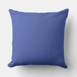Cojín decorativo azul de 20" x 20"
