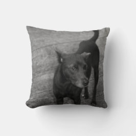 Cojín Decorativo B&W - Aspin