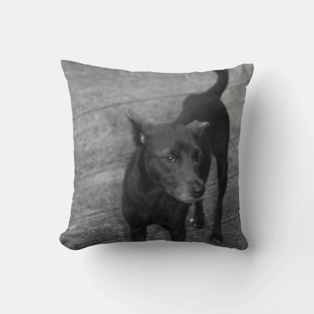 Cojín Decorativo B&W - Aspin (Anverso)