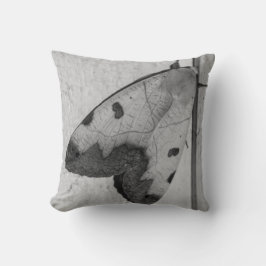 Cojín Decorativo B&W - Ophiusa tirhaca, el hueco verde