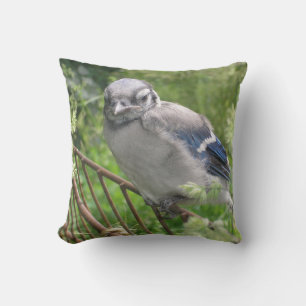 Cojín Decorativo Baby Blue Jay