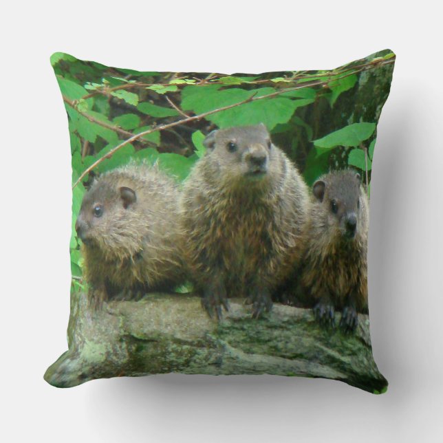 Cojín Decorativo Baby Groundhogs - Woodchucks - Pastos (Anverso)