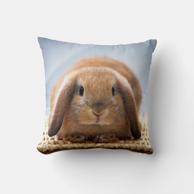 Cojín Decorativo Baby Rabbit Pillow (Anverso)