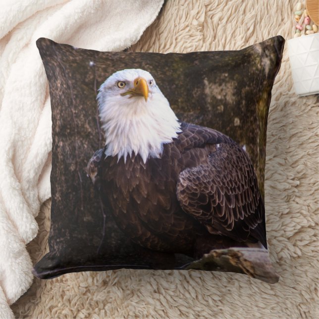 Cojín Decorativo Bald Eagle (Manta)