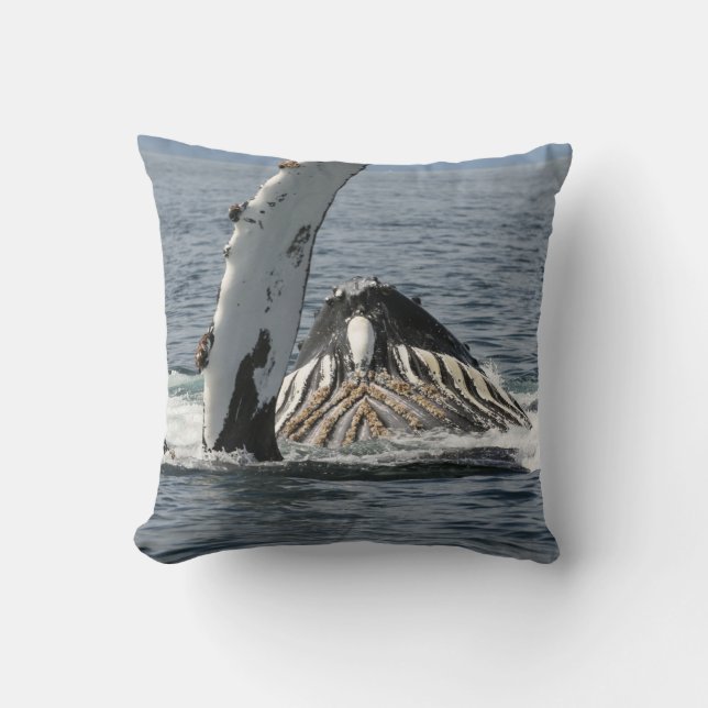 Cojín Decorativo Ballena jorobada (Anverso)