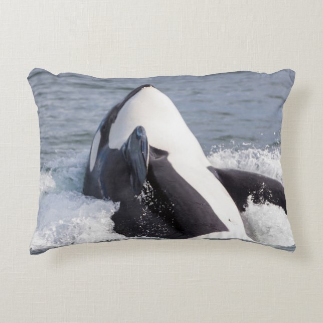 Cojín Decorativo Ballena orca saltando (Anverso)
