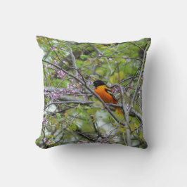 Cojín Decorativo Baltimore Oriole