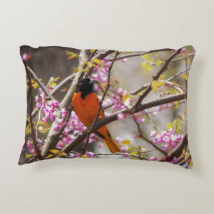 Cojín Decorativo Baltimore Oriole