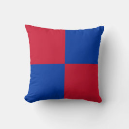 Cojín Decorativo Bandera de Harenkarspel