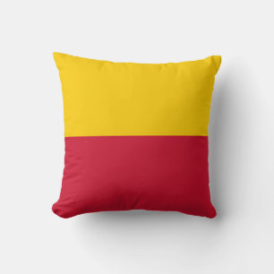 Cojín Decorativo Bandera de Schagen