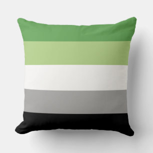 Cojín Decorativo Bandera del Orgullo Aromántico