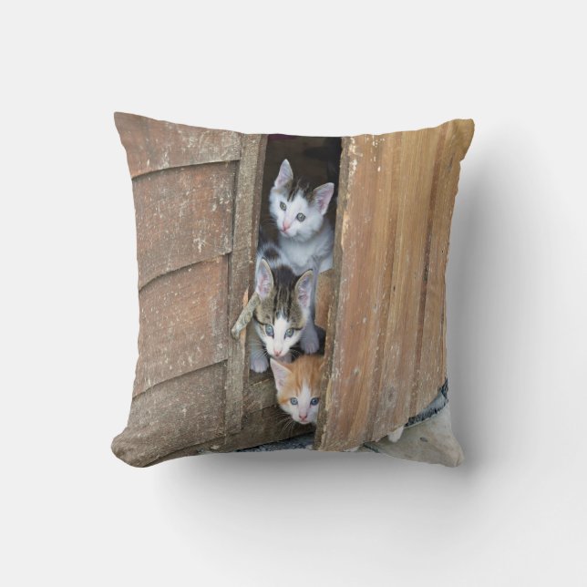 Cojín Decorativo Barnyard Kittens (Anverso)