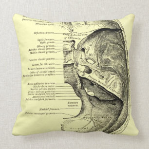 Cojín Decorativo Base de la anatomía el del vintage de la
