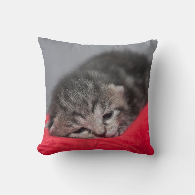 Cojín Decorativo Batito lindo (Anverso)