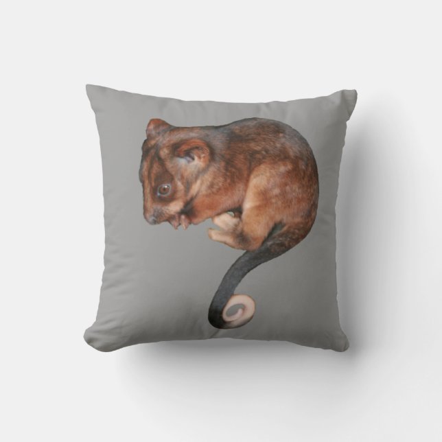 Cojín Decorativo Bebé Adorable Ringtail Possum en Australia (Anverso)