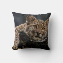 Bebé Bobcat mintiendo en el árbol