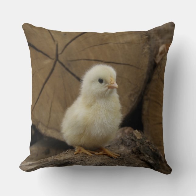 Cojín Decorativo Bebé Chick On Logs (Anverso)