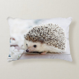 Cojín Decorativo Bebé dulce Hedgehog