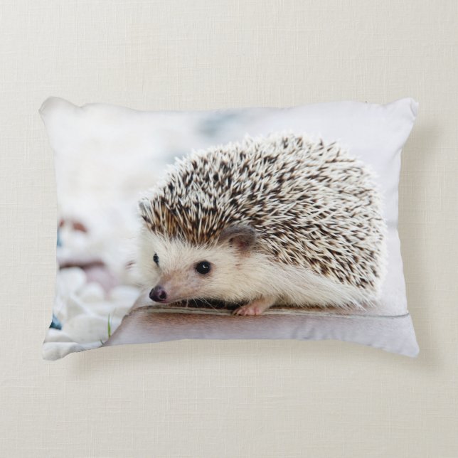 Cojín Decorativo Bebé dulce Hedgehog (Anverso)