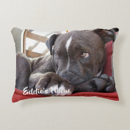 Cojín Decorativo Bebé editable Pitbull