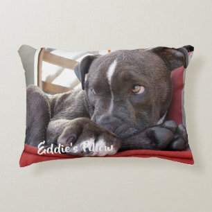 Cojín Decorativo Bebé editable Pitbull