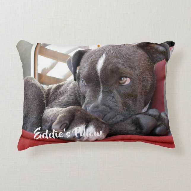 Cojín Decorativo Bebé editable Pitbull (Anverso)