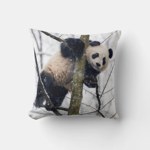 Cojín Decorativo Bebé panda en el árbol