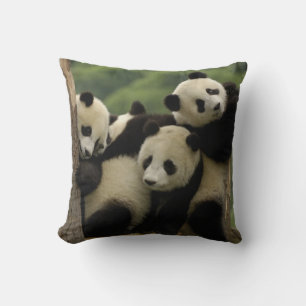 Cojín Decorativo Bebés de panda gigante (Ailuropoda melanoleuca)