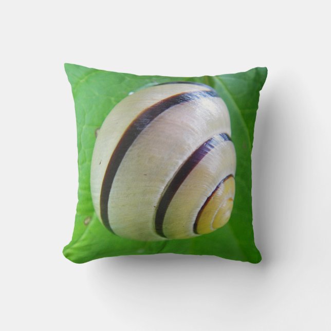 Cojín Decorativo Beige Y Snailshell Marrón (Anverso)