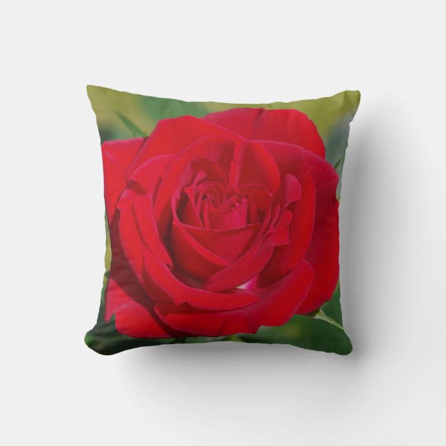 Cojín Decorativo Belleza del rosa rojo (Anverso)