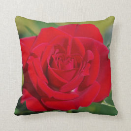Cojín Decorativo Belleza del rosa rojo
