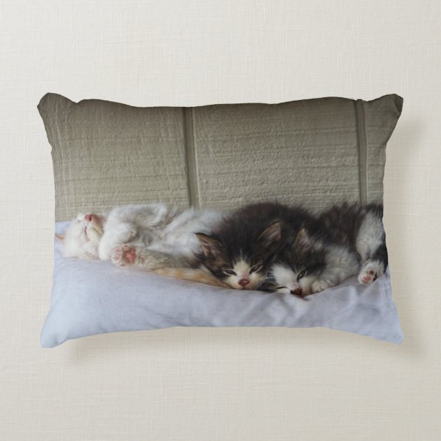 Cojín Decorativo Belleza durmiente (Anverso)