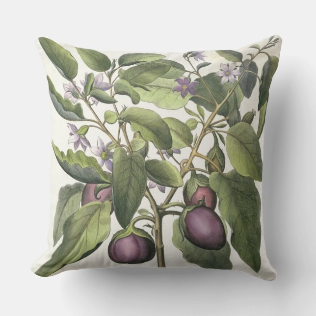 Cojín Decorativo Berenjena: Pallido del fructu de Melanzana, del (Anverso)