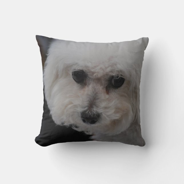 Cojín Decorativo Bichon dulce Frise (Anverso)
