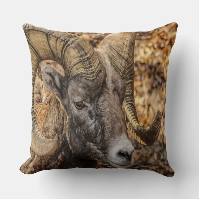Cojín Decorativo Big Horn Ram (Anverso)