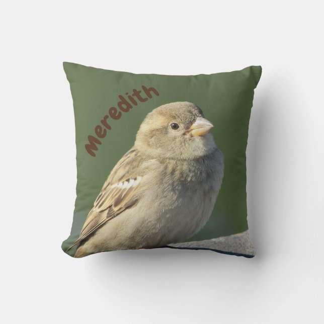 Cojín Decorativo Bird Lover Hermosa Casa Marrón Sparrow (Anverso)