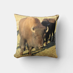 Cojín Decorativo Bison de Colorado