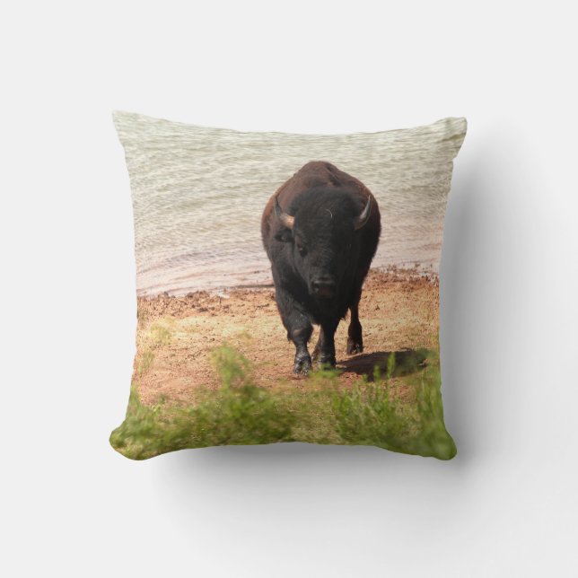 Cojín Decorativo Bison En El Agua (Anverso)
