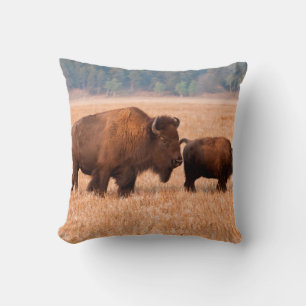 Cojín Decorativo Bisonte Americano (Bison bison) Vaca y Ternero