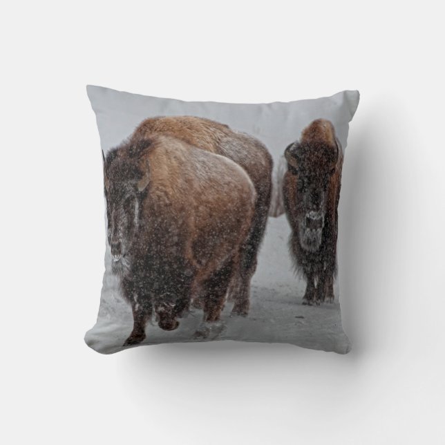 Cojín Decorativo Bisonte de Yellowstone (Anverso)