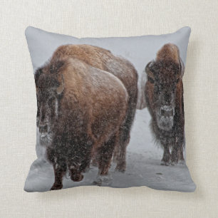Cojín Decorativo Bisonte de Yellowstone
