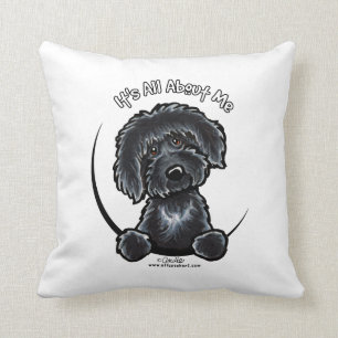 Cojín Decorativo Black Labradodle IAAM