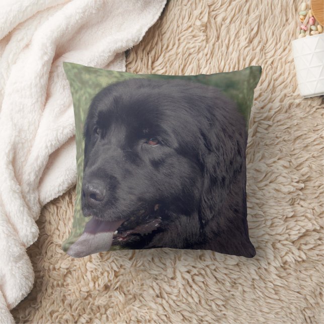 Cojín Decorativo Black Newfoundland Dog Face (Manta)