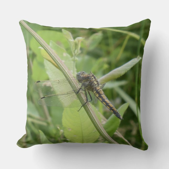 Cojín Decorativo Black-tailed Skimmer Throw Pillow (Anverso)