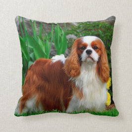 Cojín Decorativo Blenheim Cavalier King Charles Spaniel Perro Cacho