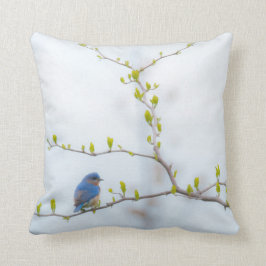 Cojín Decorativo Bluebird del este del pájaro animal
