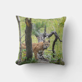 Cojín decorativo Bobcat