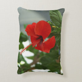 Cojín Decorativo bolsa tote única fotografiqqq